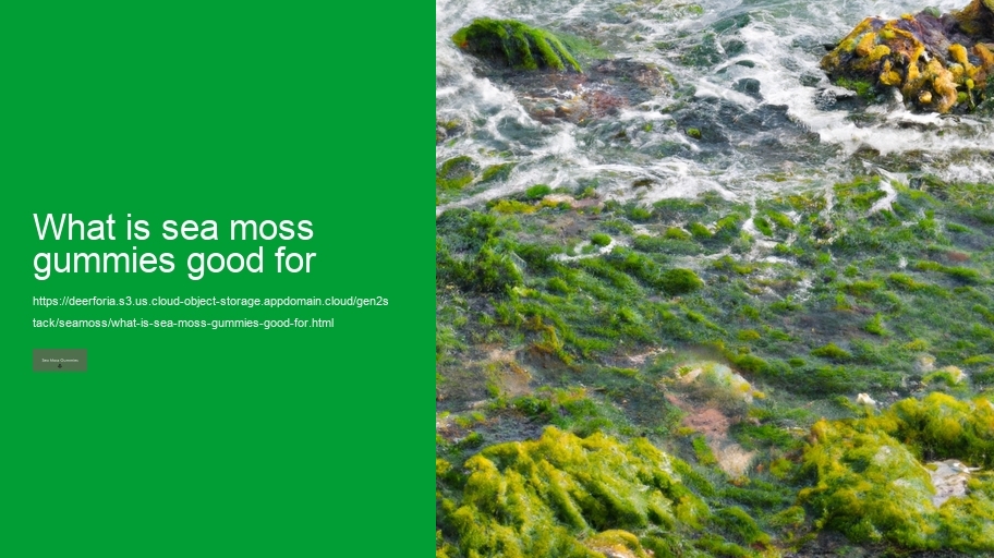 what is sea moss gummies good for
