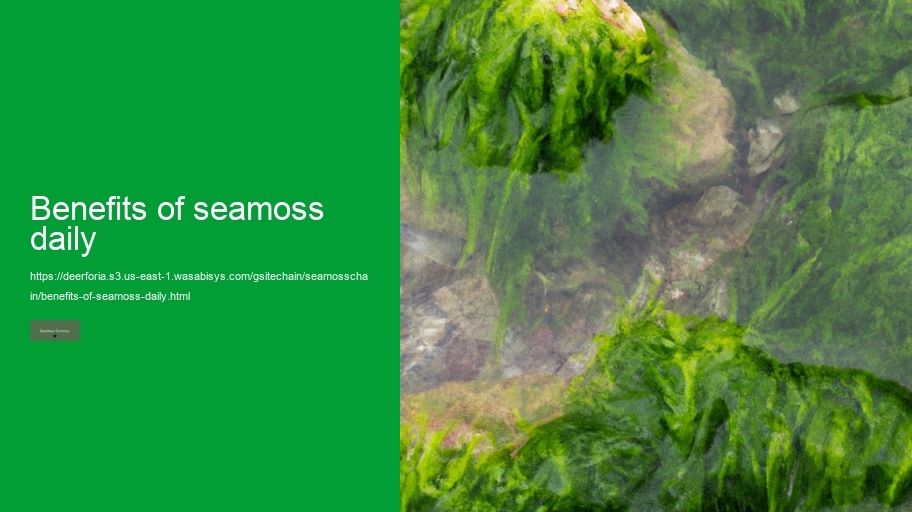 benefits of seamoss daily