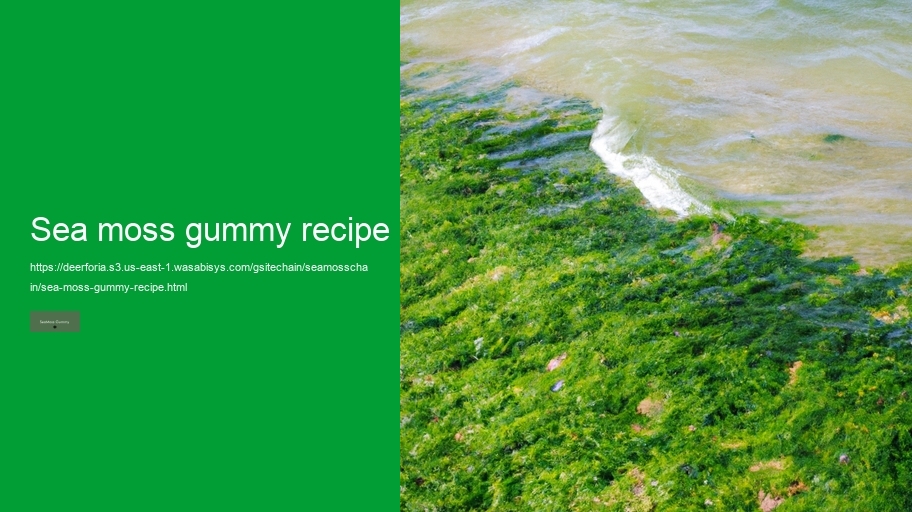 sea moss gummy recipe